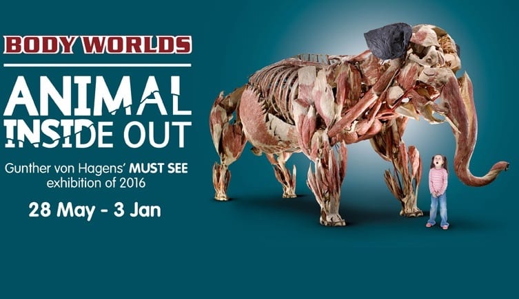 animal-inside-out-heasline-1_I_love_newcastle_magazine_