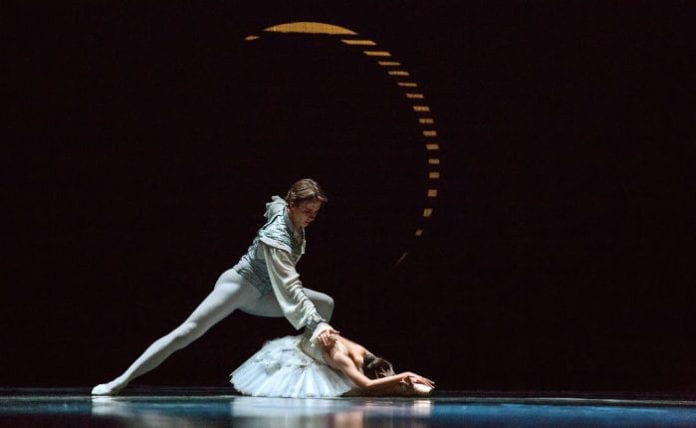 SwanLake2-2 swan lake