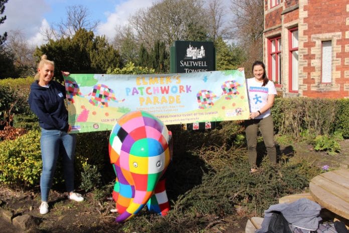 Elmer the Patchwork Elephant and staff from St Oswalds Hospice at Saltwell Park_ (004)-2