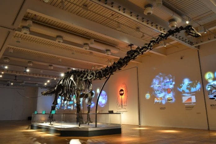 Dippy the Diplodocus at the Great North Museum-2