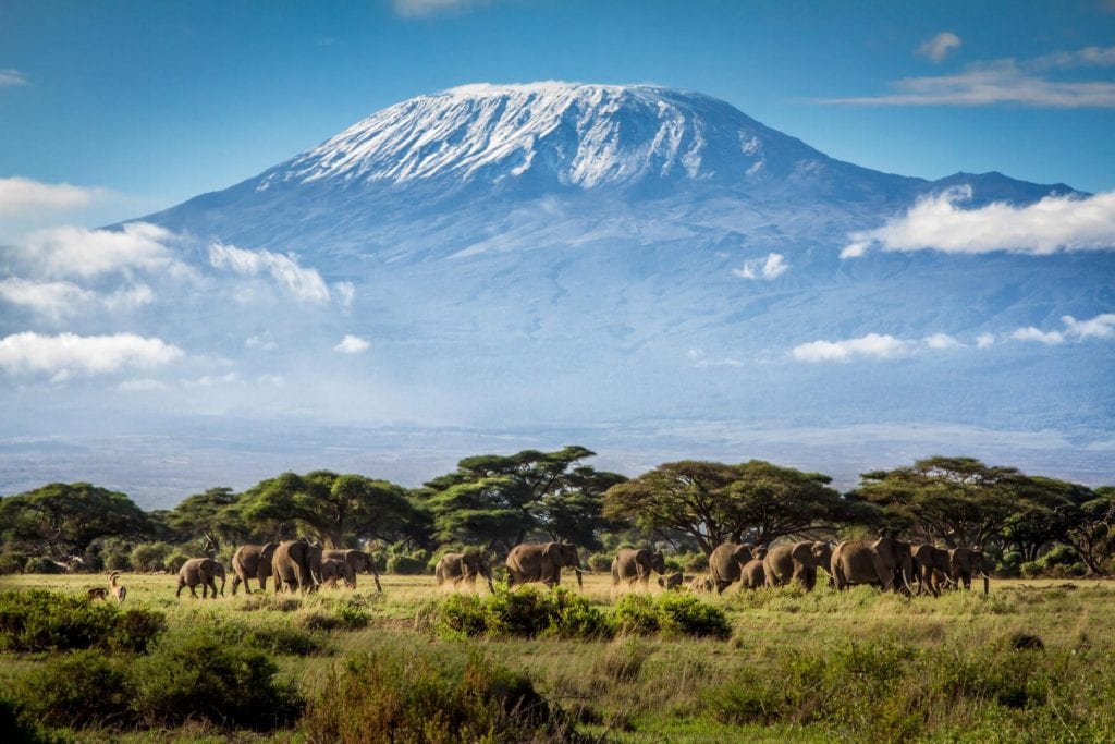 Mt-Kilimanjaro