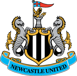 Newcastle United Fanzone I Love Newcastle