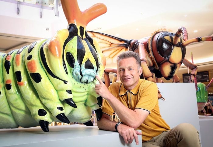 Take the kids to see the Big Bugs and make the whole family happier I Love Newcastle Take the kids to see the Big Bugs and make the whole family happier I Love Newcastle